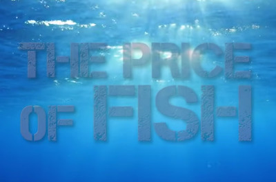 Price of Fish