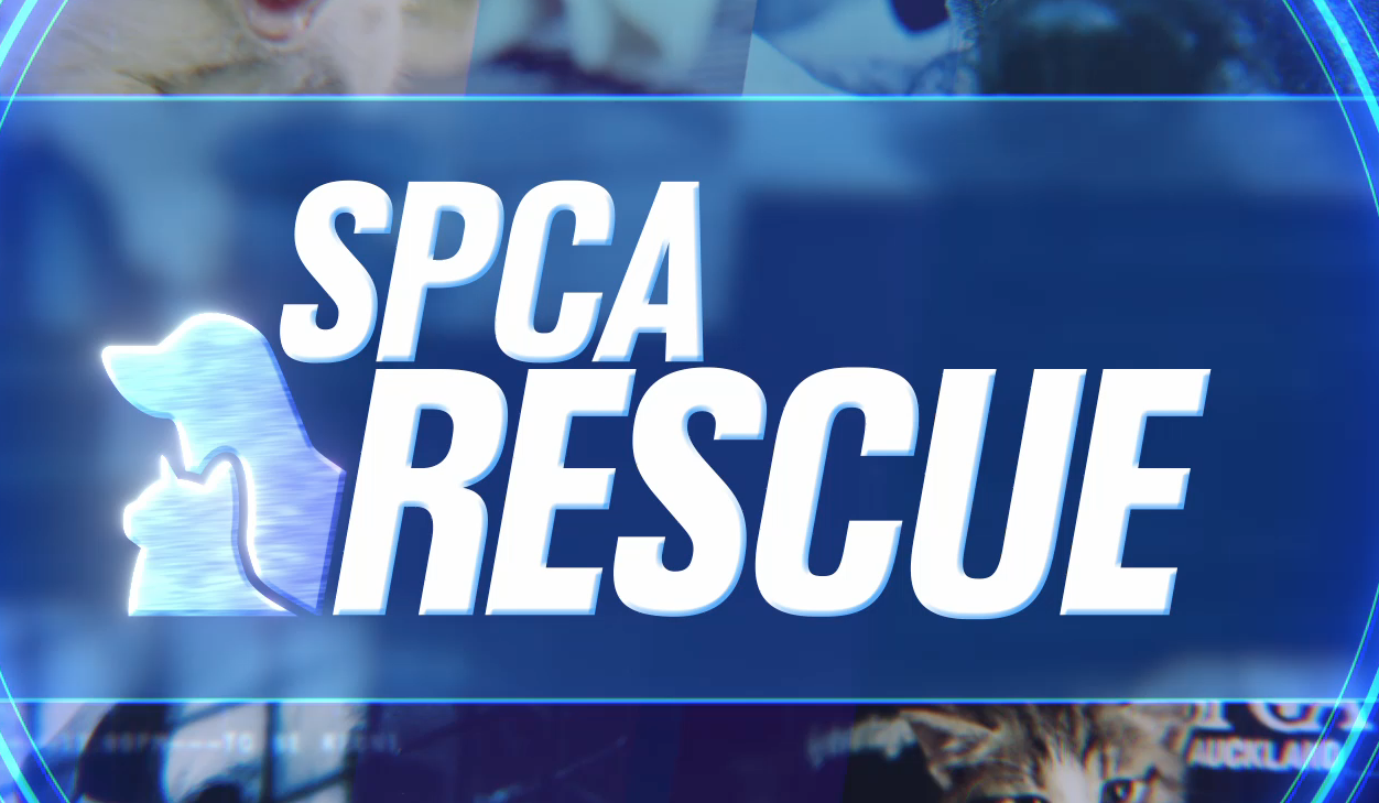 SPCA Rescue